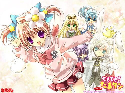 虾米动漫,探索奇幻世界，畅游青春记忆