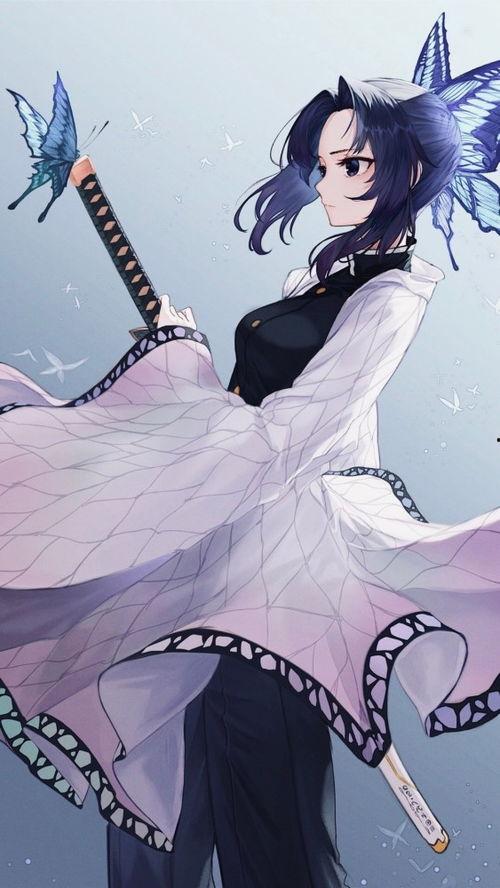 xxxx动漫,穿越时空的奇幻冒险之旅