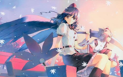 动漫是什么意思