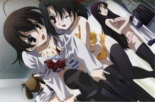 日本十八禁漫画,揭秘日本十八禁漫画的隐秘世界